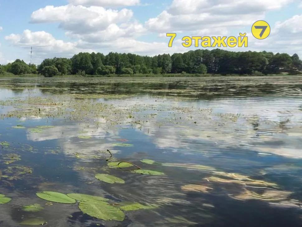 ����������, ������� ��.