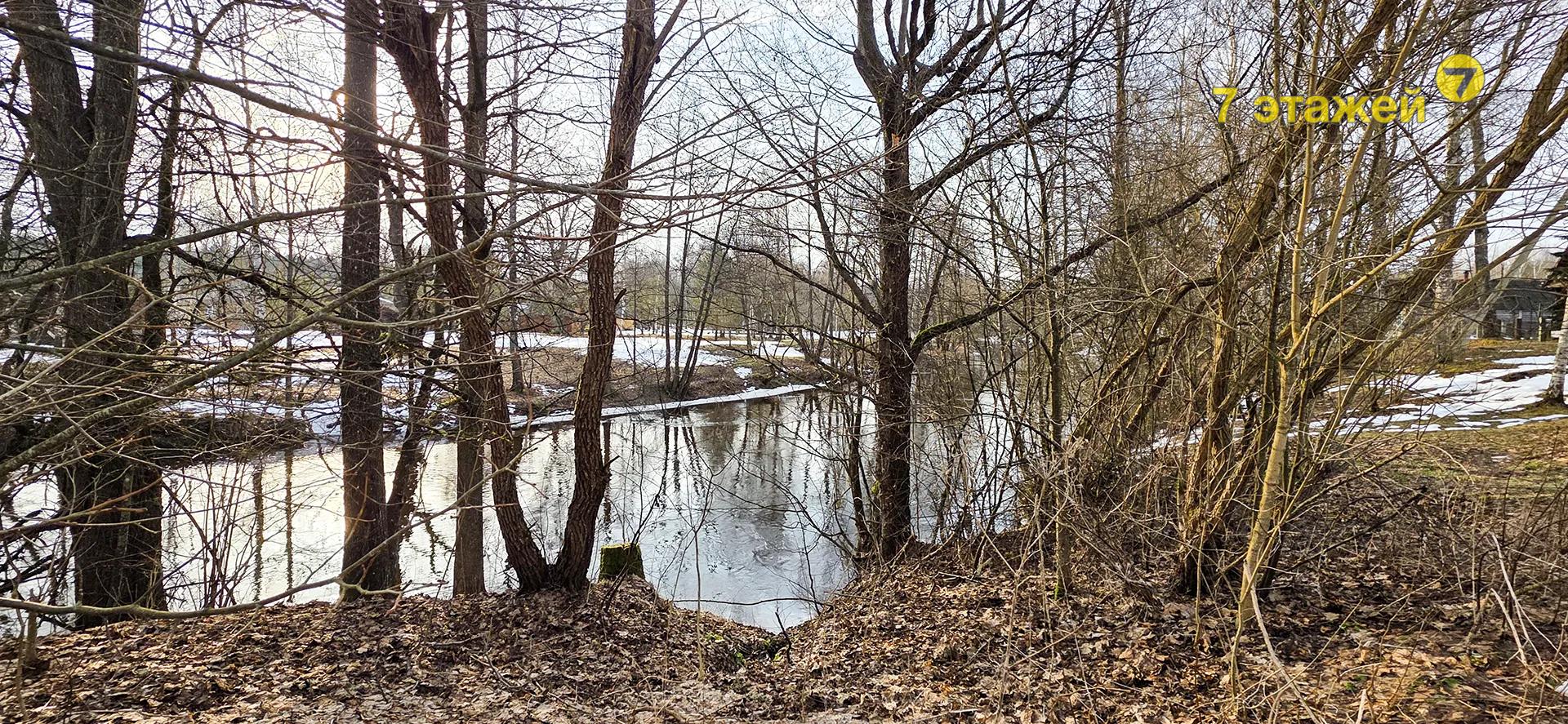 ����������, ����������� ��.