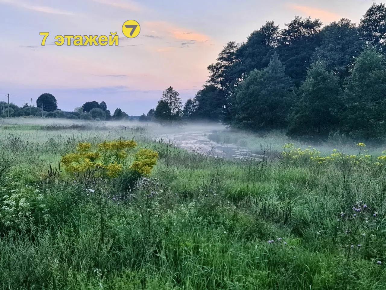 ���������, �������� ��.