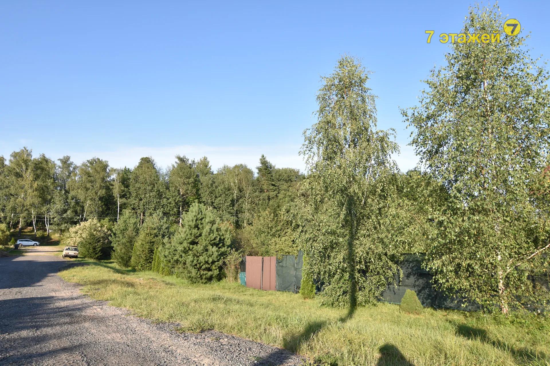 �����, ������ ��.