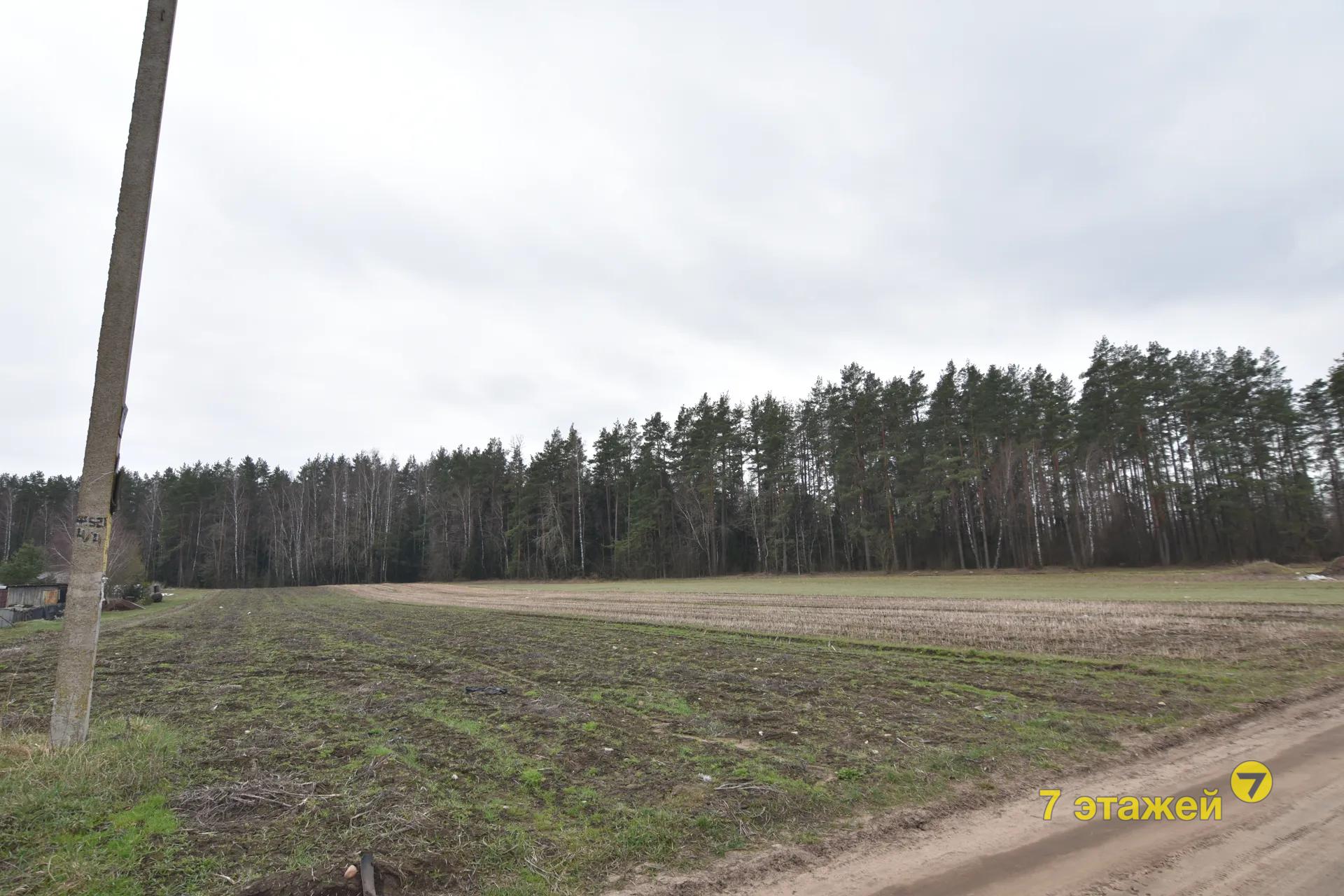 �������, ��������� ��.