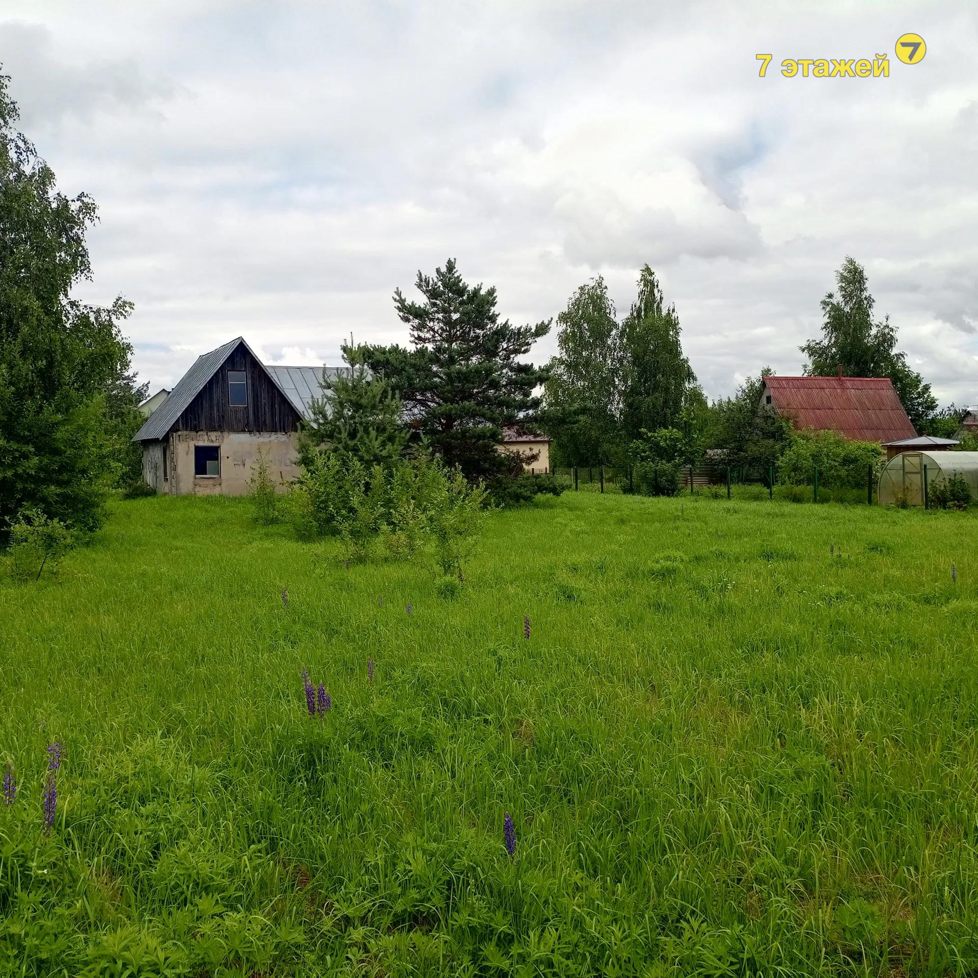 ��������� ����,