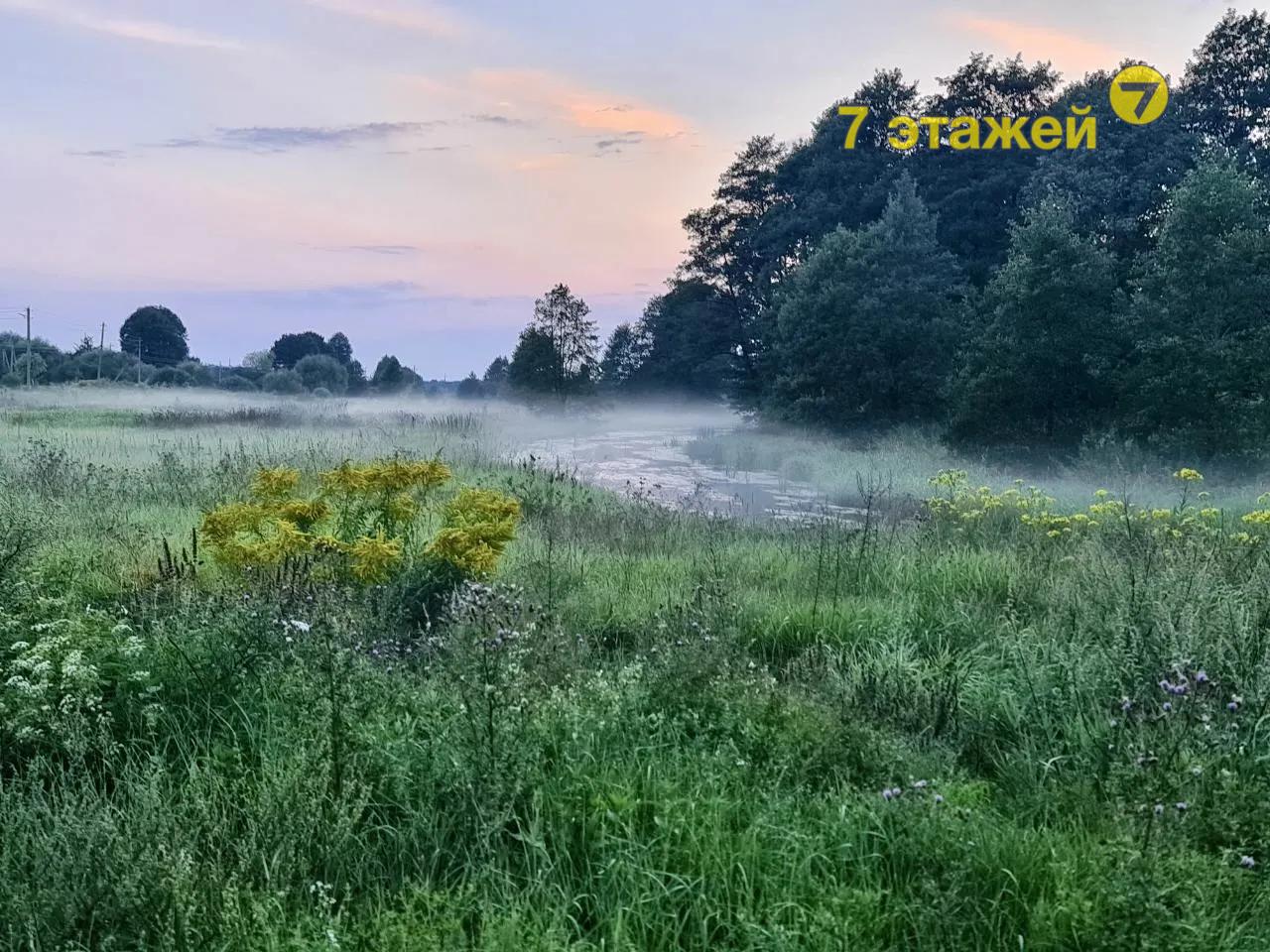 ���������, �������� ��.