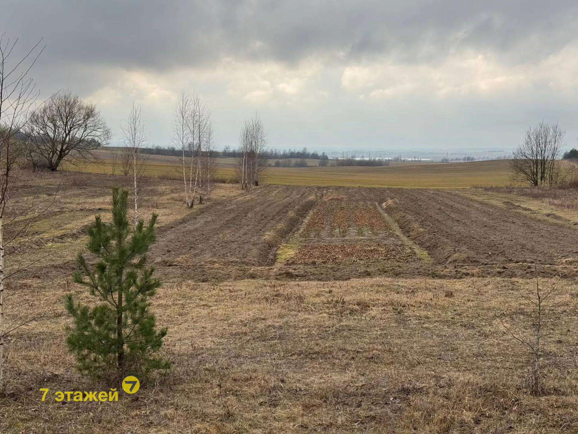 �������,