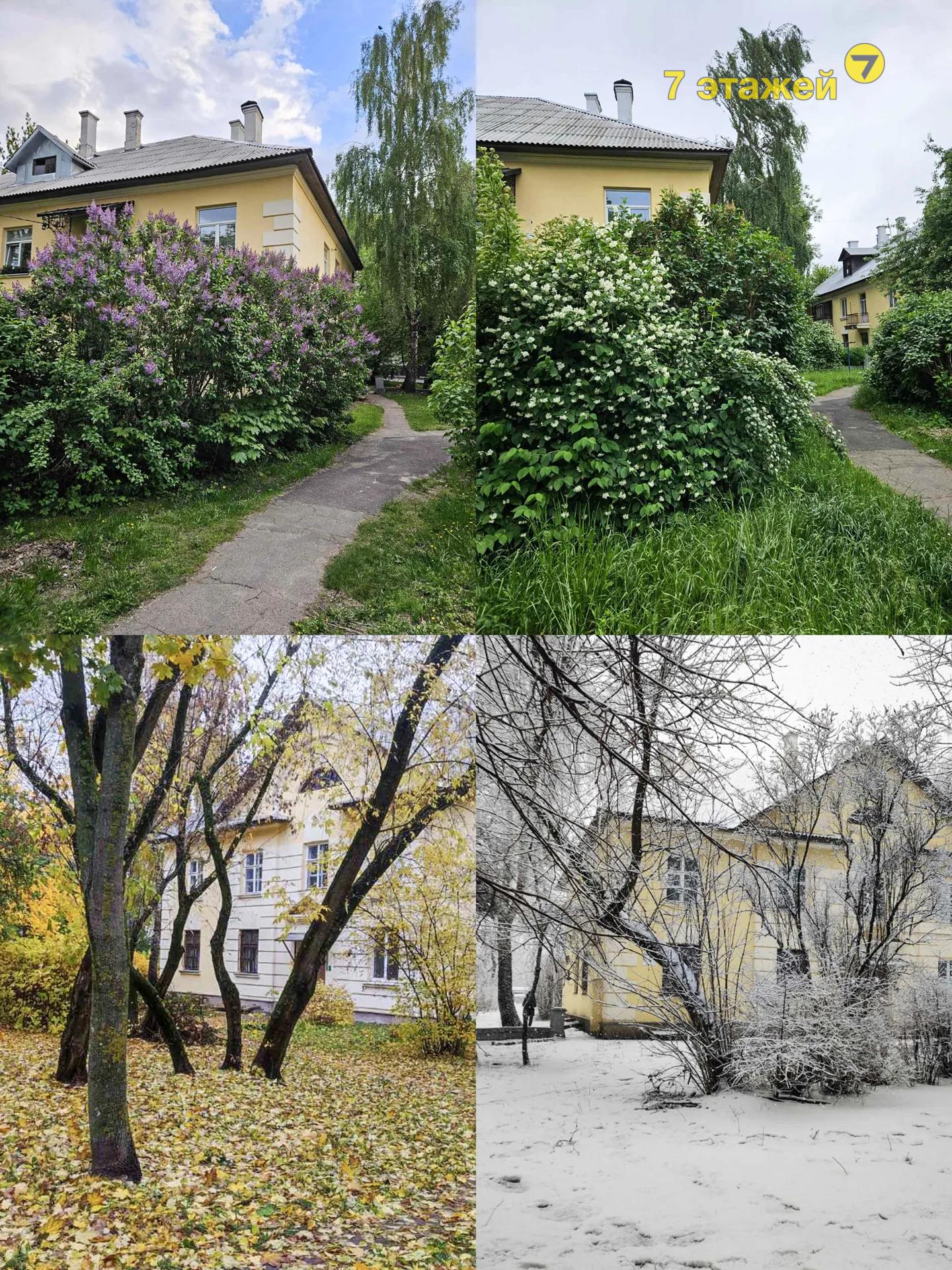 �����, ���������������� ��., �.36, 2-���. ��������, 2-����