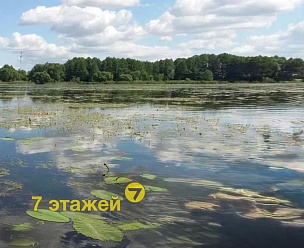 ����������, ������� ��.