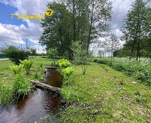 �������, ������ ��.